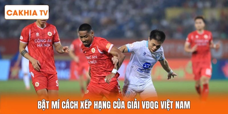 Bật mí cách xếp hạng của giải VĐQG Việt Nam