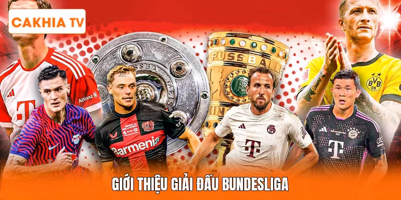 Giới thiệu giải đấu Bundesliga