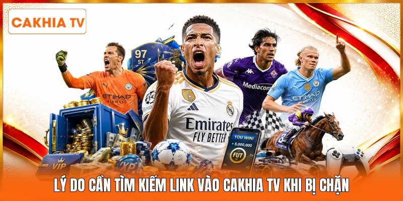 Lý do cần tìm kiếm link vào Cakhia tv khi bị chặn