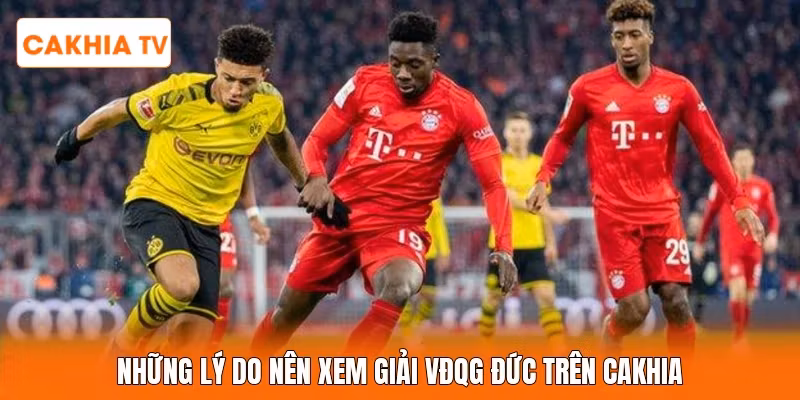 Những lý do nên xem giải VĐQG Đức trên Cakhia