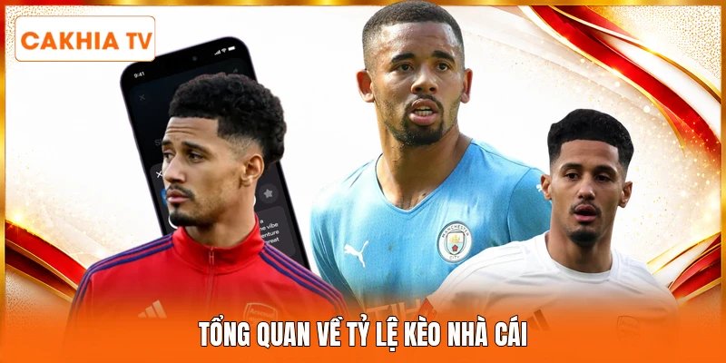 Tổng quan về tỷ lệ kèo nhà cái